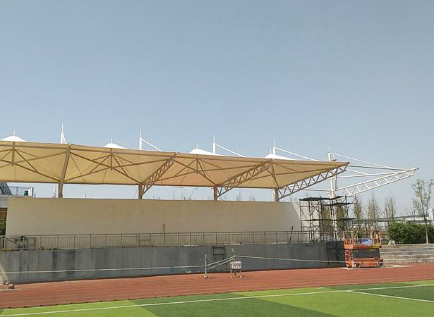 Ĥ�Y�����_